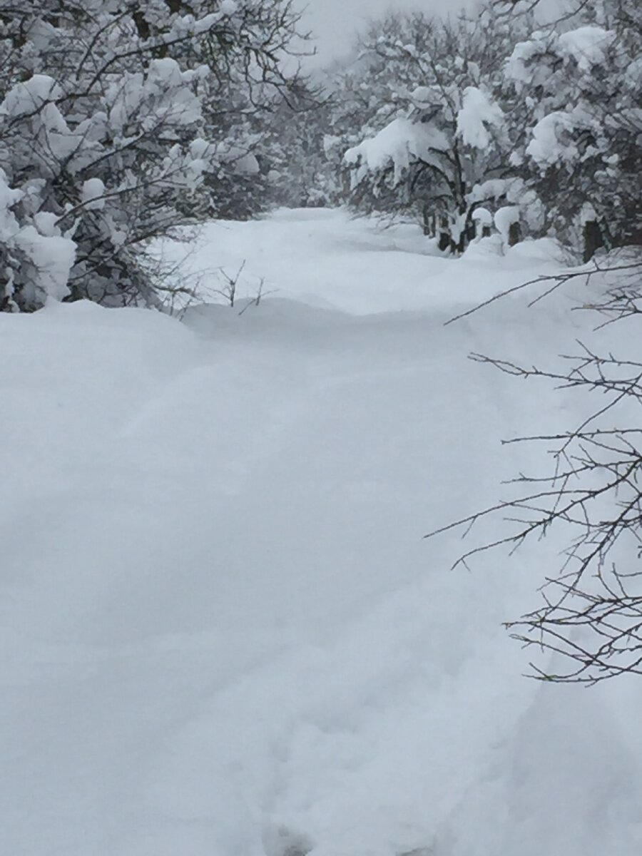 Как в сказке.   Фото  И.Бондаренко