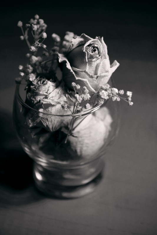 фото Яндекс.Картинки