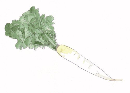 Иллюстрации: Каки Окумура 