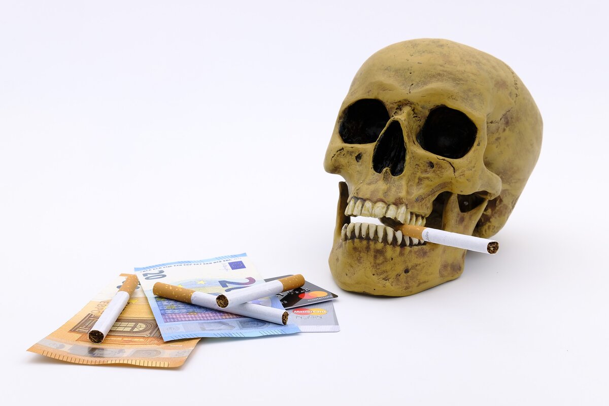 Источник:  https://clck.ru/TfYxe