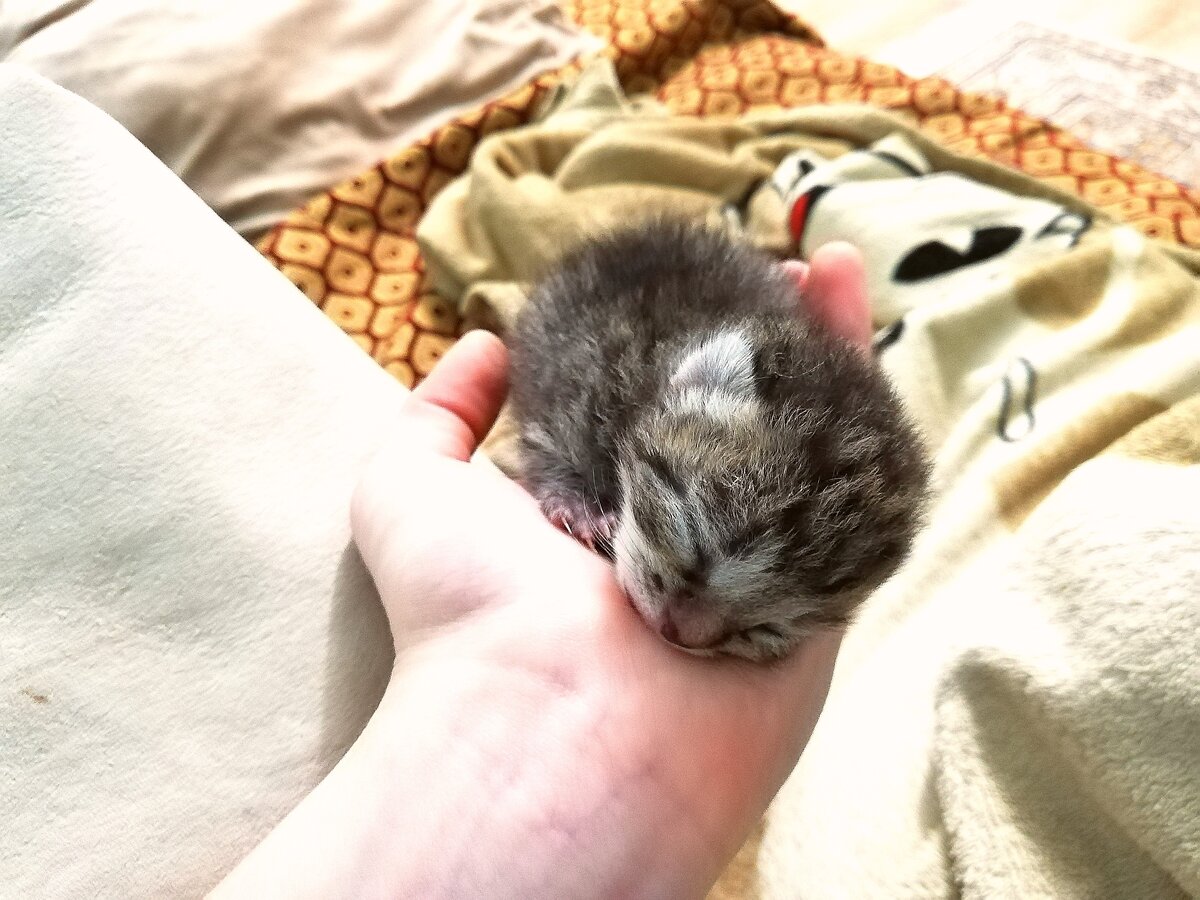 Ну разве не прелесть