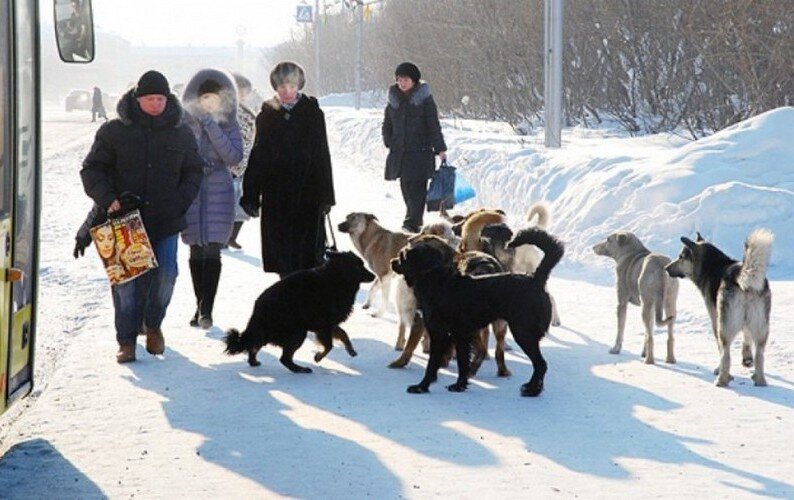 Взято с сайта biz.ligazakon.net