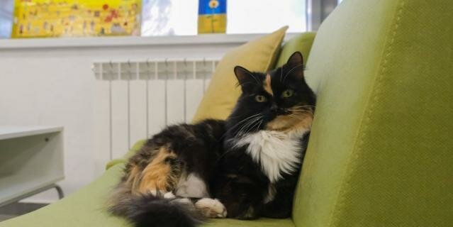 Источник фото metronews.ru