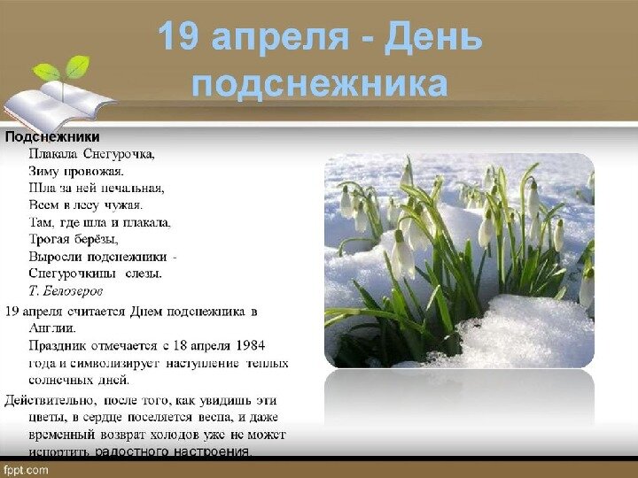 Этот праздник отмечается с 18 апреля 1984 года. А родиной возникновения этого праздника является Англия.