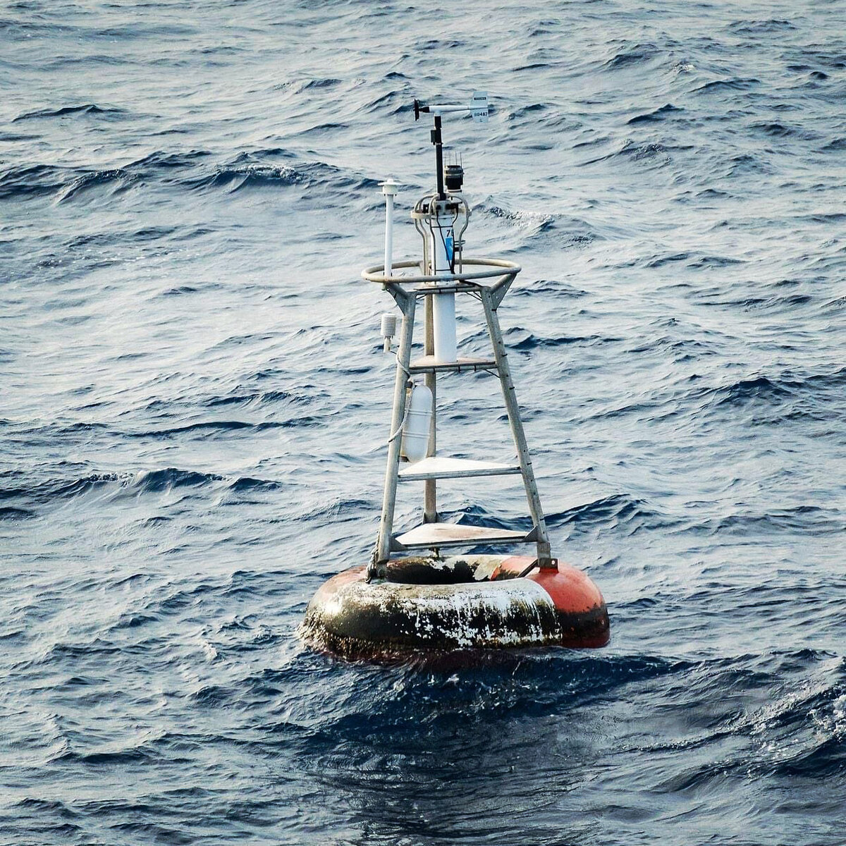 Буй на Острове Ноль