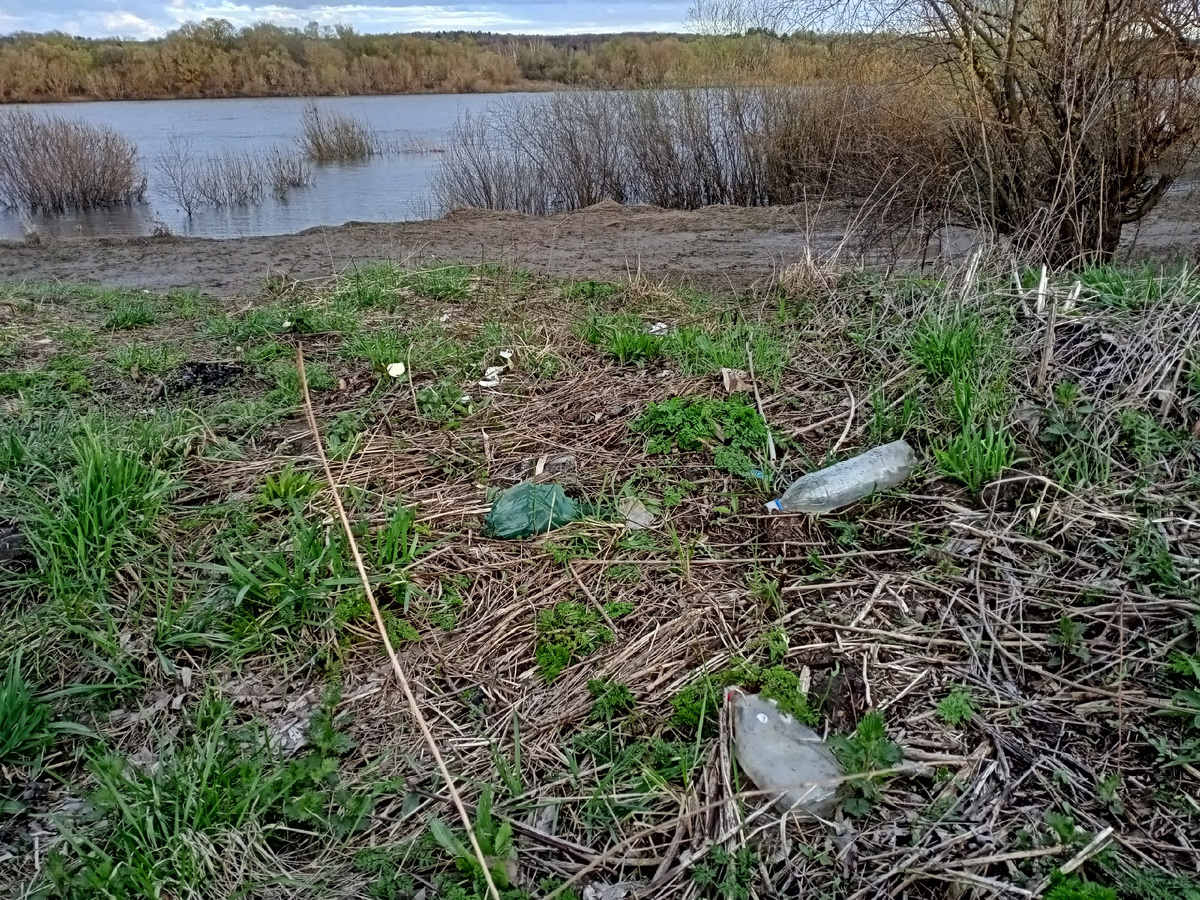 пластиковые бутылки - самый распространенный мусор