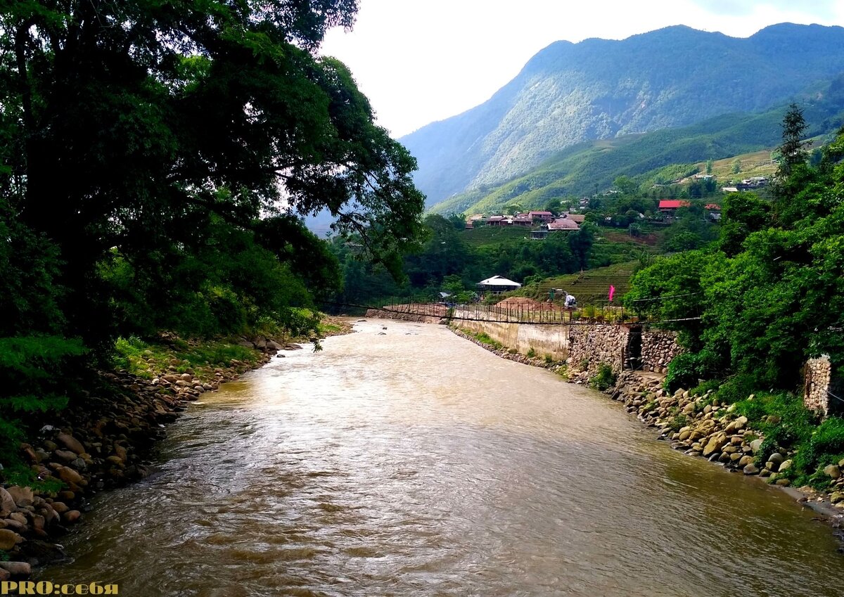 Река. Фото автора.