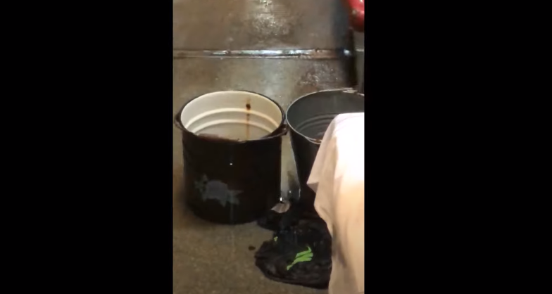  Скриншот кадра с видеоролика, которым делились пассажиры в своих социальных сетях