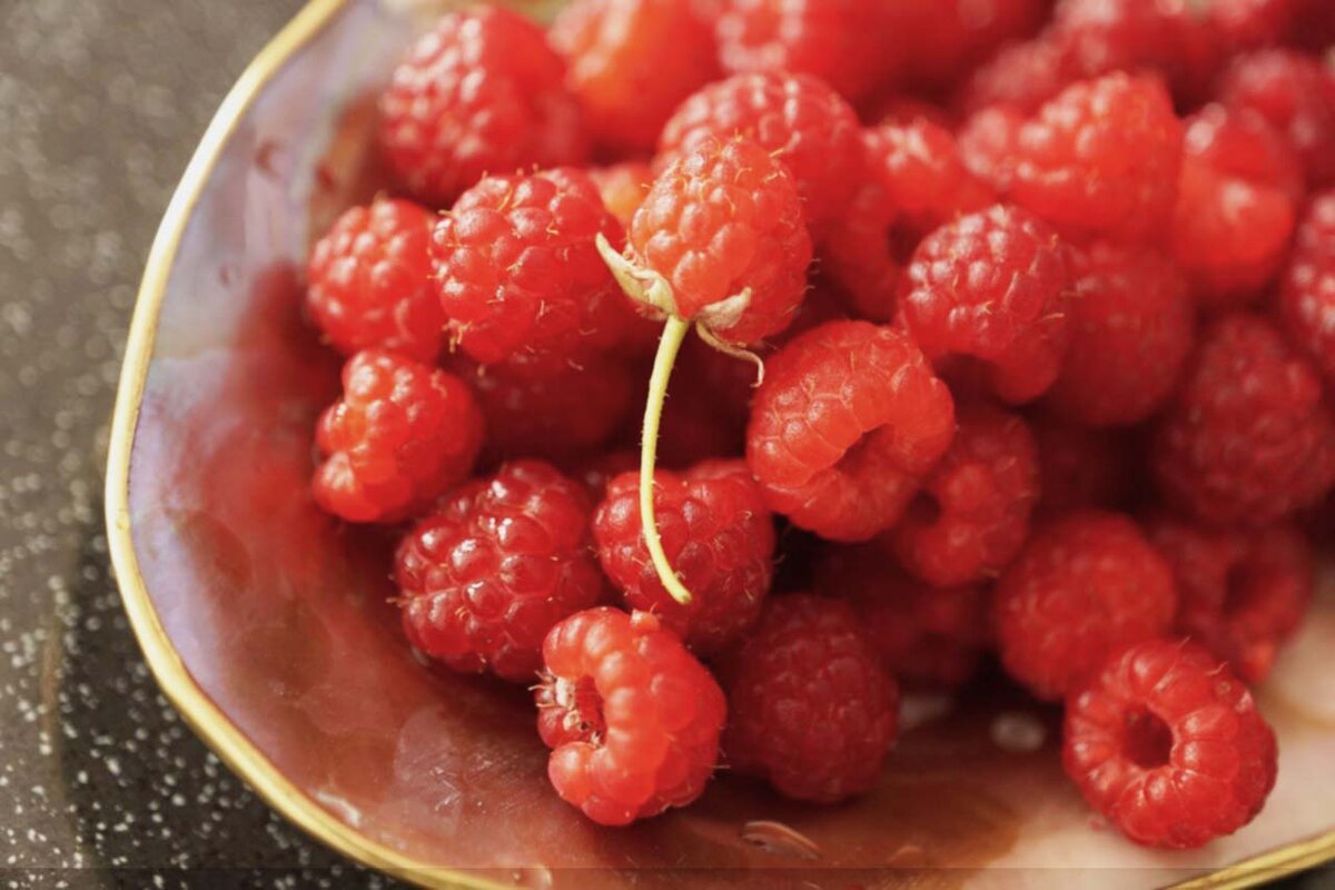 Ягода синяя ирга. Спеющая ягода. Клюква обыкновенная (vaccinium oxycoccos). Дары природы брусника сок. Жимолость ягода.