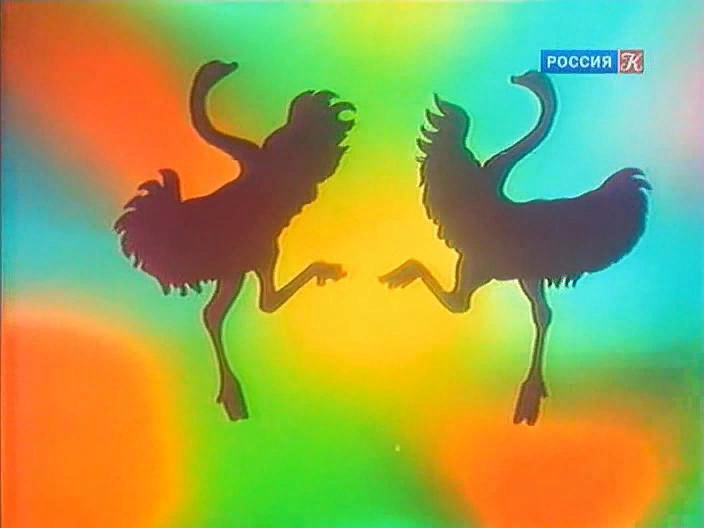 Леви Страус