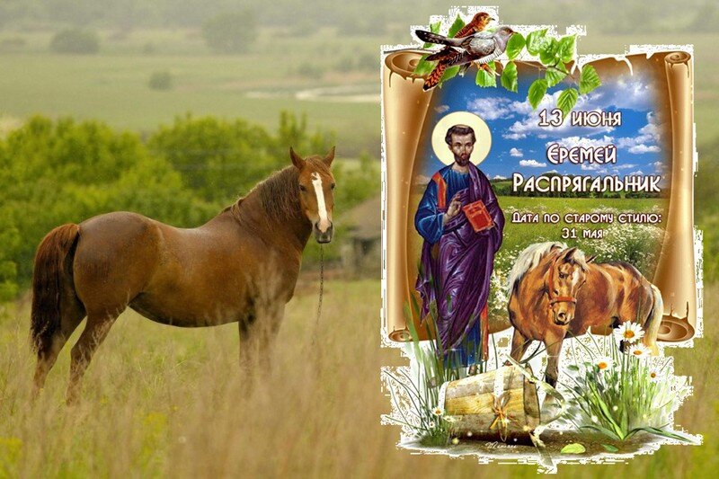 Фото из открытых источников.