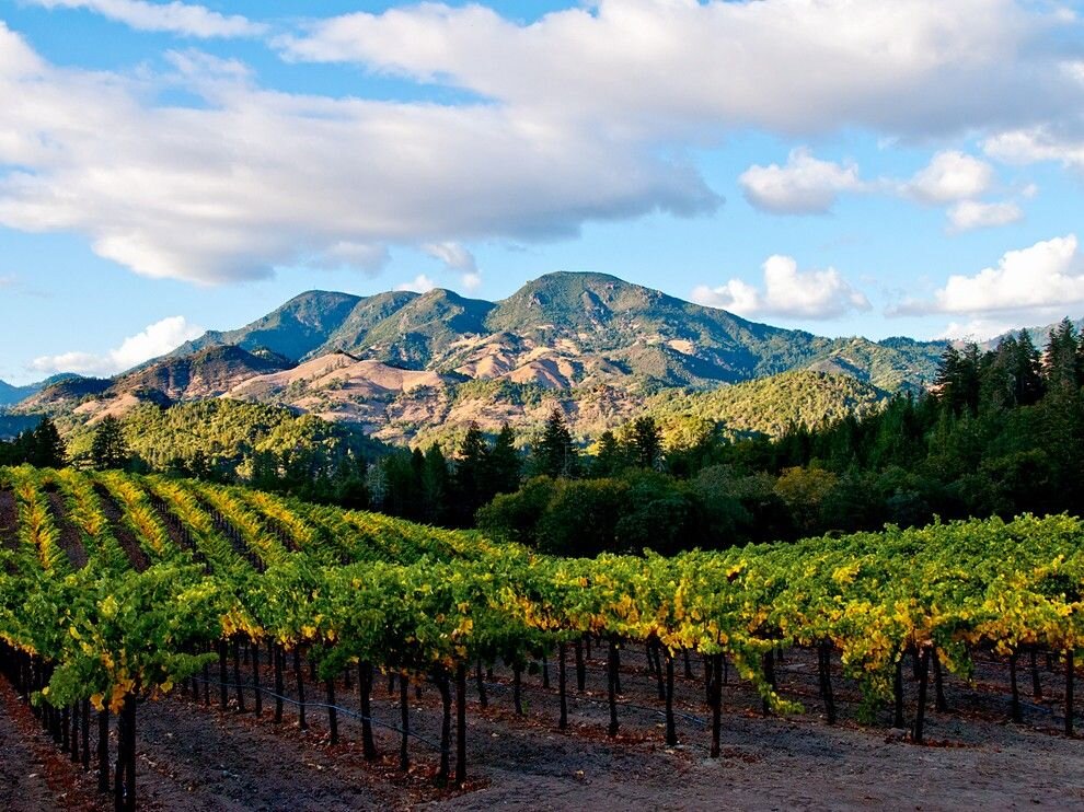 Napa VAlley, California, USA