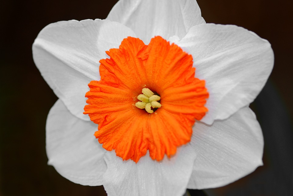 pixabay.com