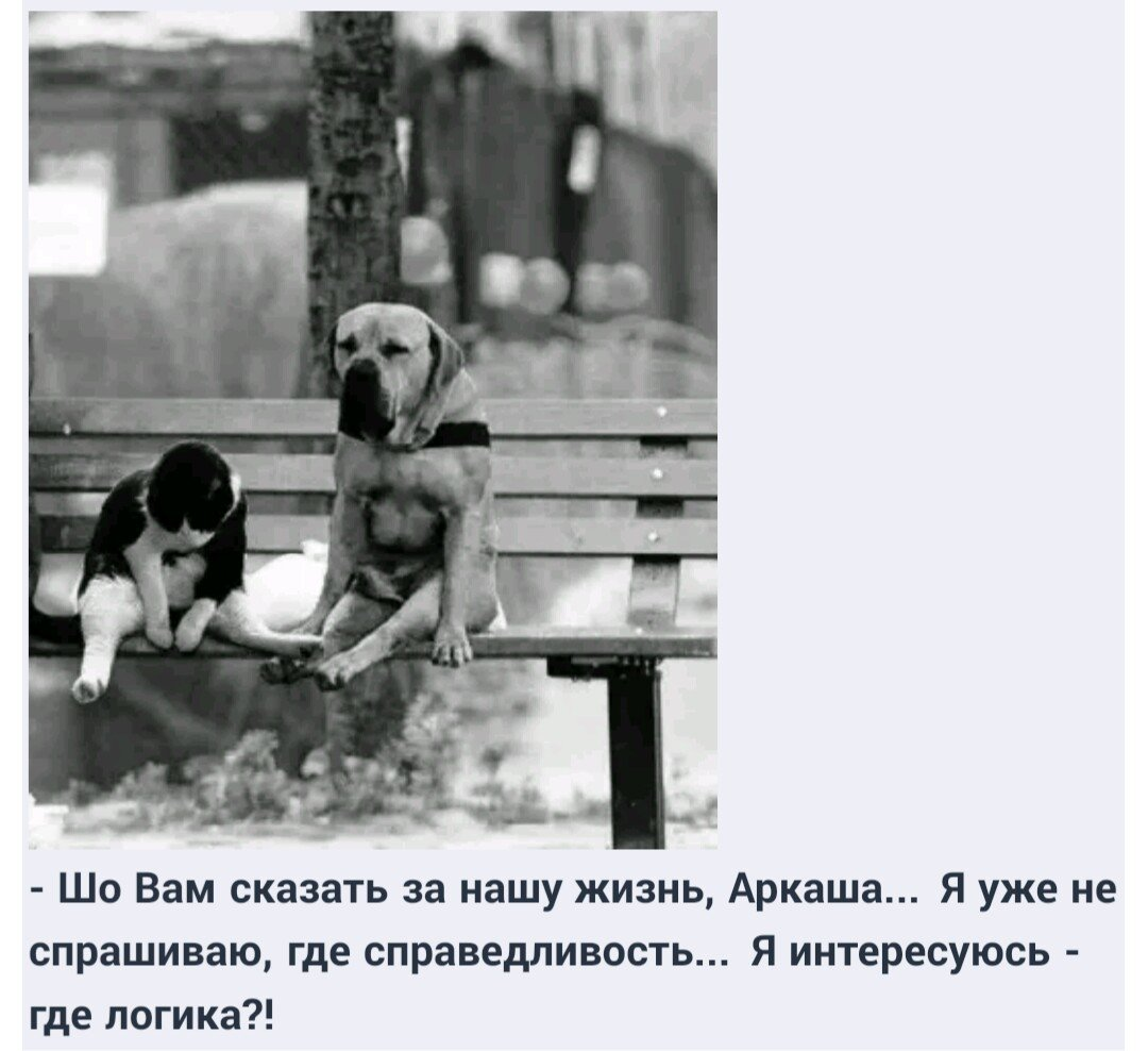 Фото из открытых источников в интернете