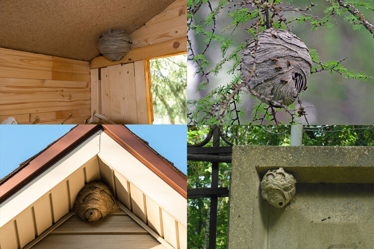 Где искать ос