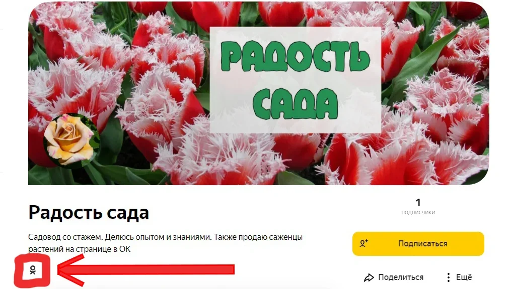 Если Вы хотите заказать саженцы растений, то переходите ко мне на страницу 
