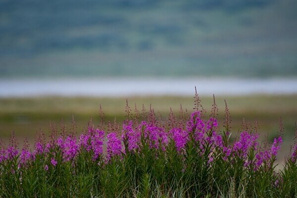 Фото: Юрий Смитюк/ТАСС