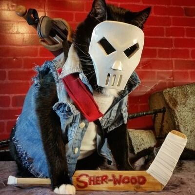 Ха-ха-ха-ха-ха! Попалась, мышка! Посмотрим, что с тобой можно сделать! Ха-ха-ха-ха-ха! И никто тебе не поможет! Ха-ха-ха-ха-ха!