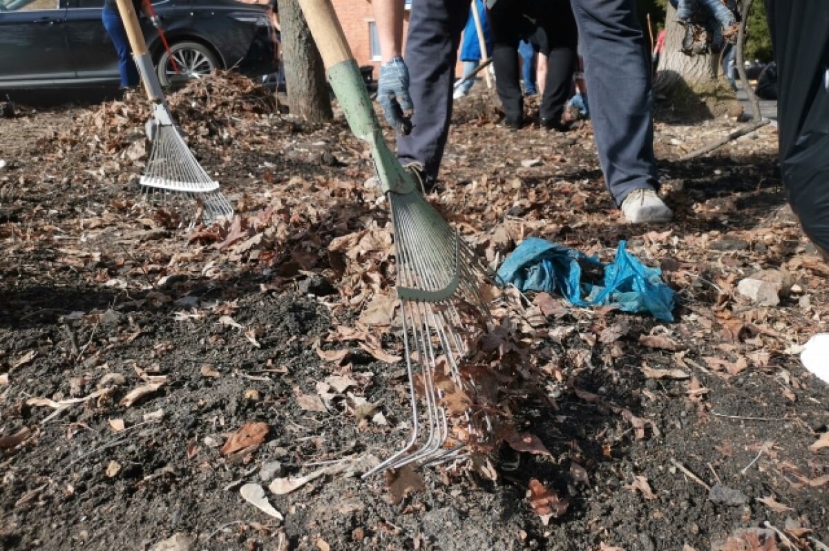    Месячник по благоустройству стартует в Пензенской области 23 сентября