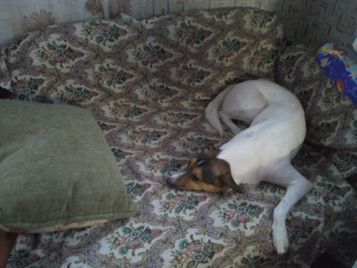 Тот момент, когда хозяин в отъезде.