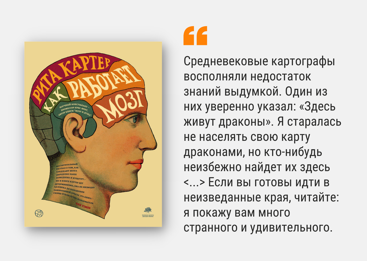 Что нам нужно знать о работе мозга? Обзор 4-х увлекательных книг | Белинка.  О книгах | Дзен