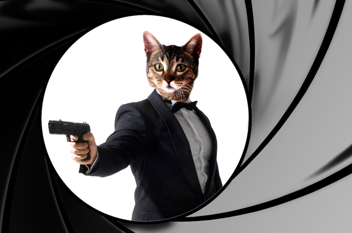 Вот настоящий Джеймс Бонд. Наверное так хотели создатели, что бы выглядела кошка проекта «Acoustic Kitty». Ист.: https://clck.ru/32LAkZ