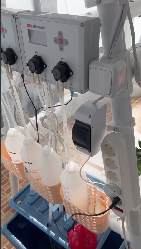 Исторический момент запуска гидропоники в городской среде – в офисе ИНК в центре Волгограда.