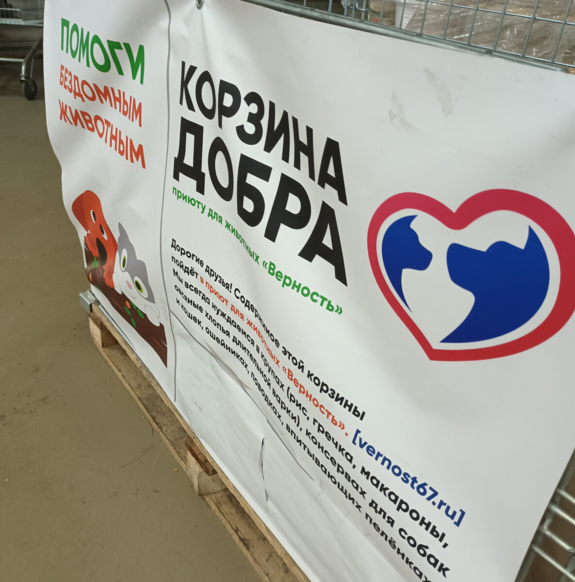 Такие корзины установлены в трех разных точках СМОЛЕНСКА