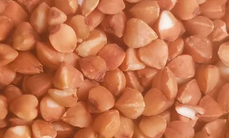    В 2022 году урожайность гречихи в России увеличилась на 14 процентов