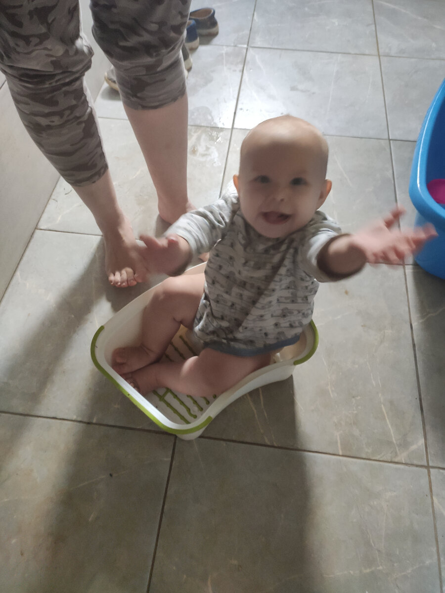 Покатай меня, большая черепаха