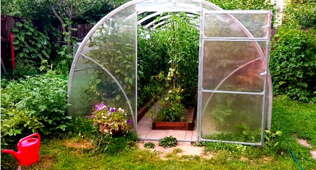 Фото автора. 