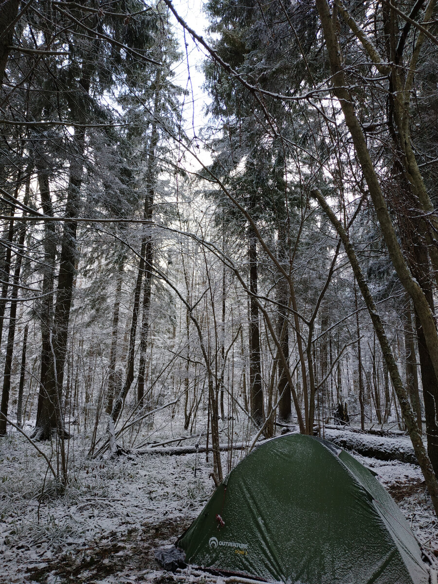 Утро в лесу)) 