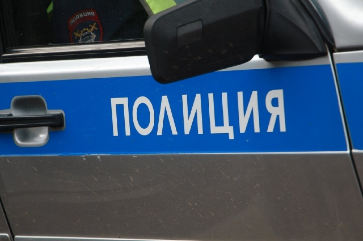    Двое новосибирцев взяли деньги под залог автомобиля и перепродали его