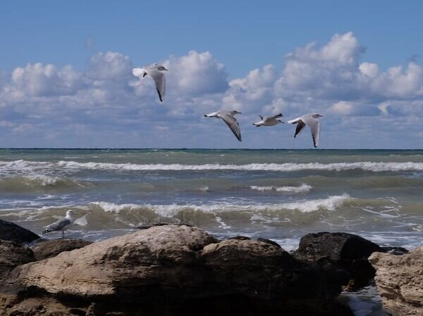   © РИА Новости Ольга Головко