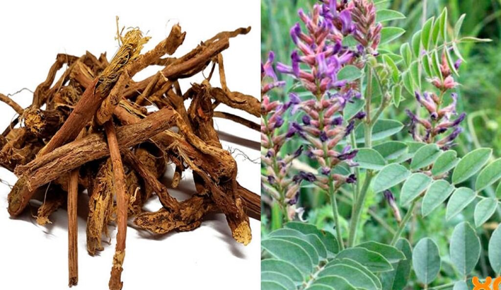 Фото взято из открытого источника интернета 