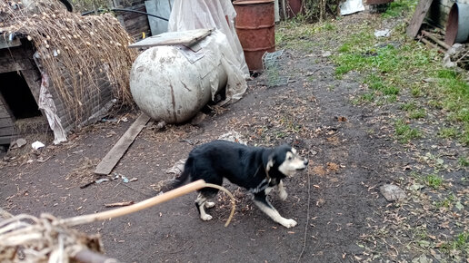 из текстиля, нейлона