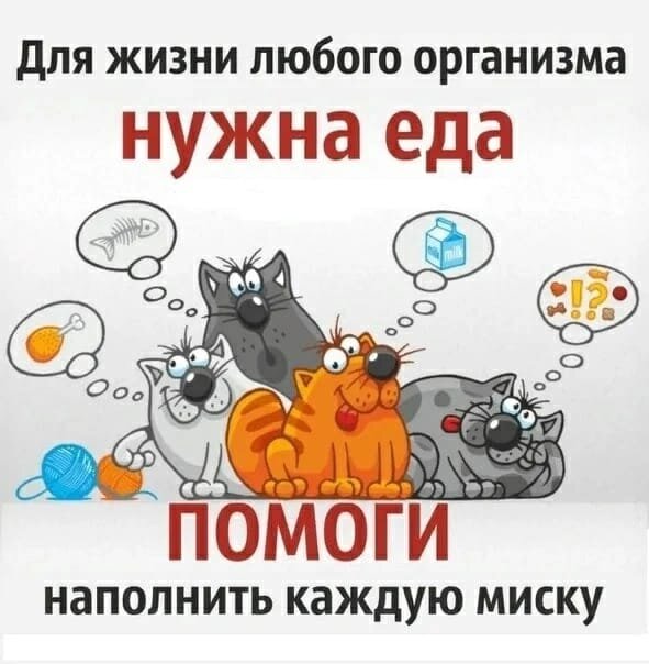 Картинка из интернета