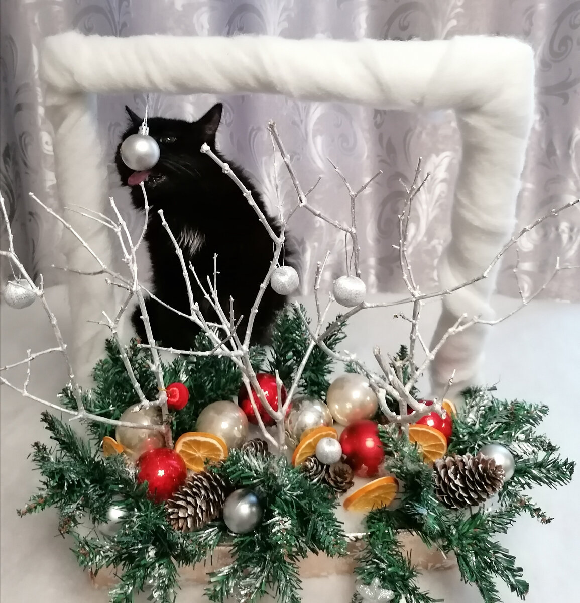 Не нервничаем! Смотрим на моего кота Фёдора, который пробует игрушку на вкус.