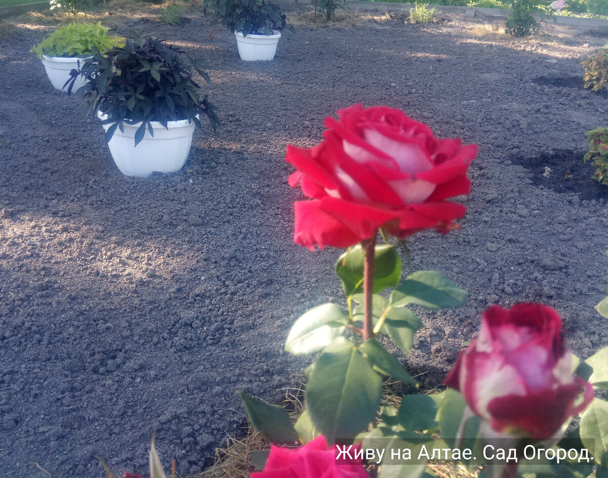 фото из личного архива