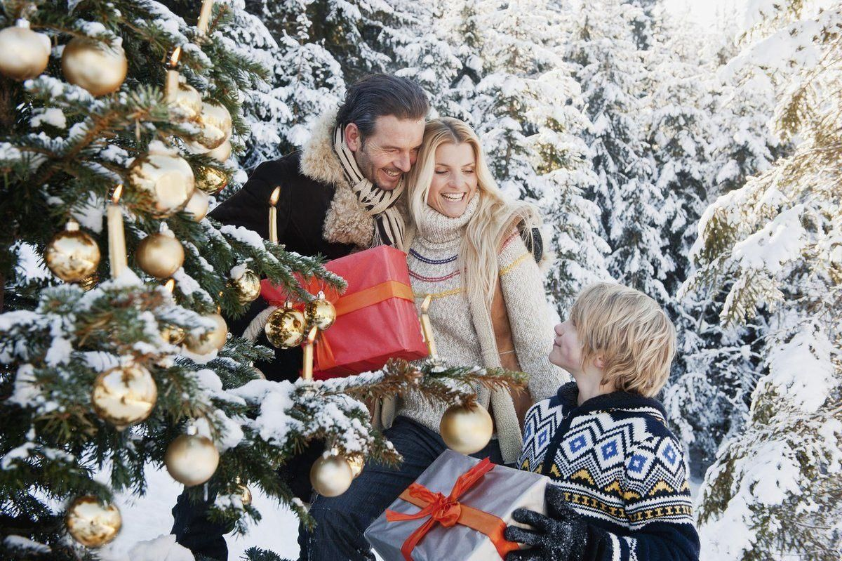 Фото из открытых источников Яндекс 