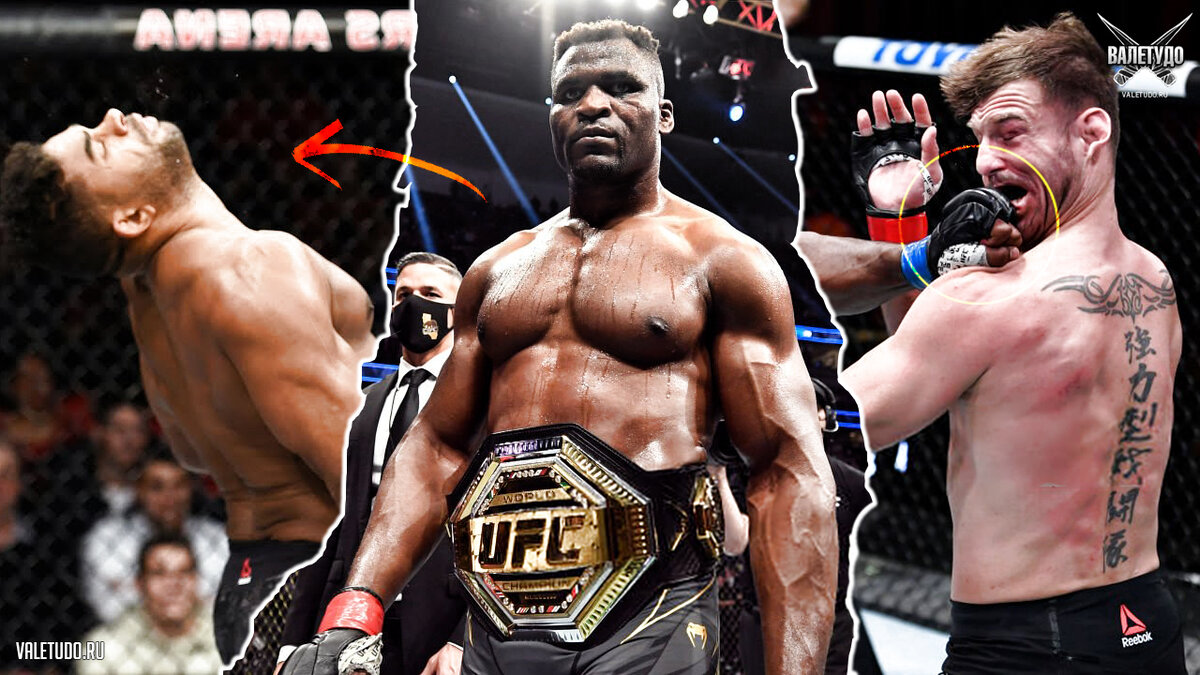 Франсис Нганну | valetudo.ru 