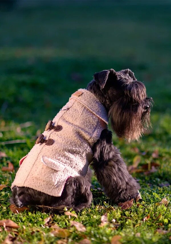    PittiPets: 5 брендов одежды и аксессуаров для пёсиков с выставки Pitti Uomo (фото 3)