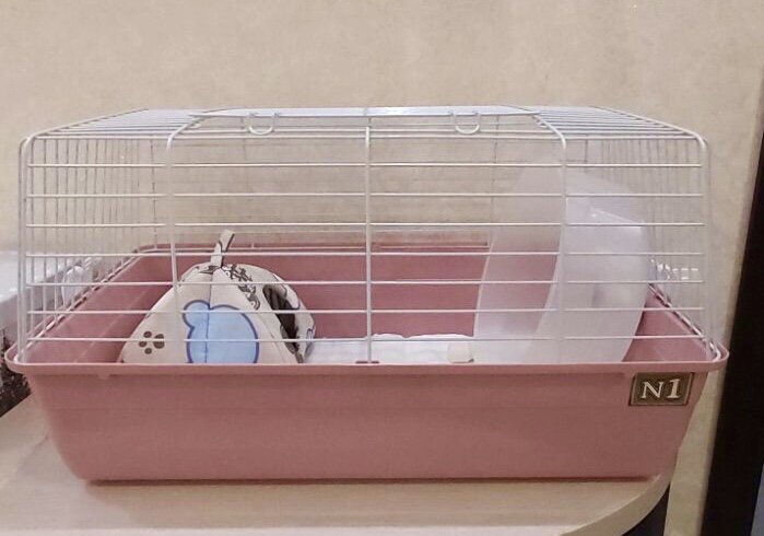 Клетка Шурика