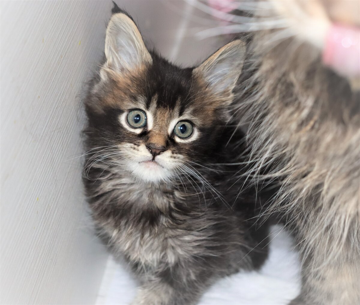 Фото из личного архива.