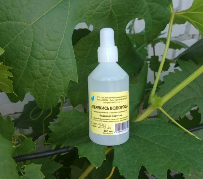 Фотография взята из источника stroy-podskazka.ru