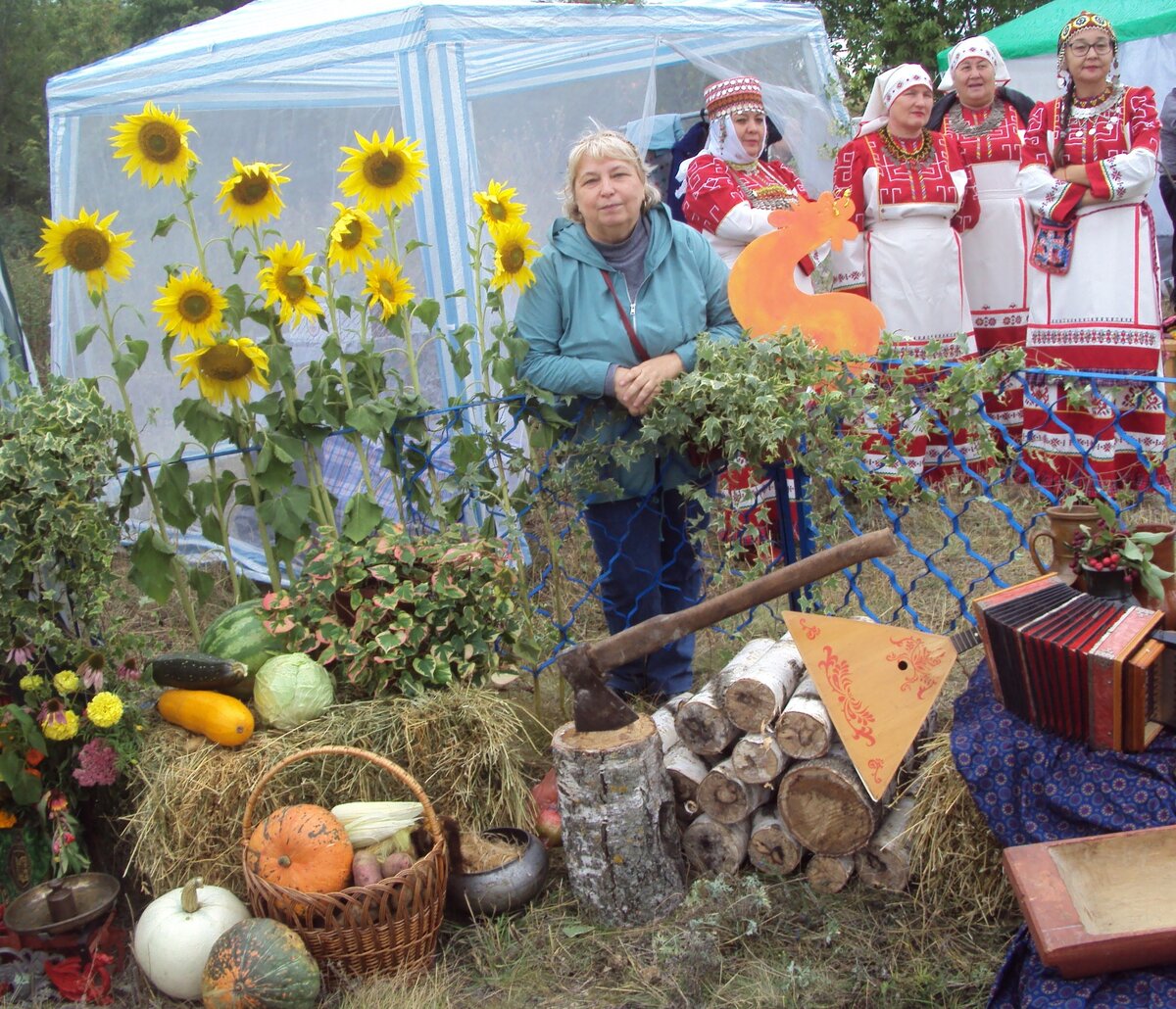 Подсолнухов по пути на поле нарвали.