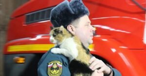    Фото: сайт ГУ МЧС России по Нижегородской области Игорь Чамовских
