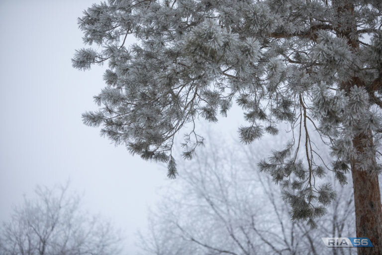    В Оренбуржье в ночь на 3 февраля существенных осадков не прогнозируют, будет -24 градуса Кристина Просвиркина