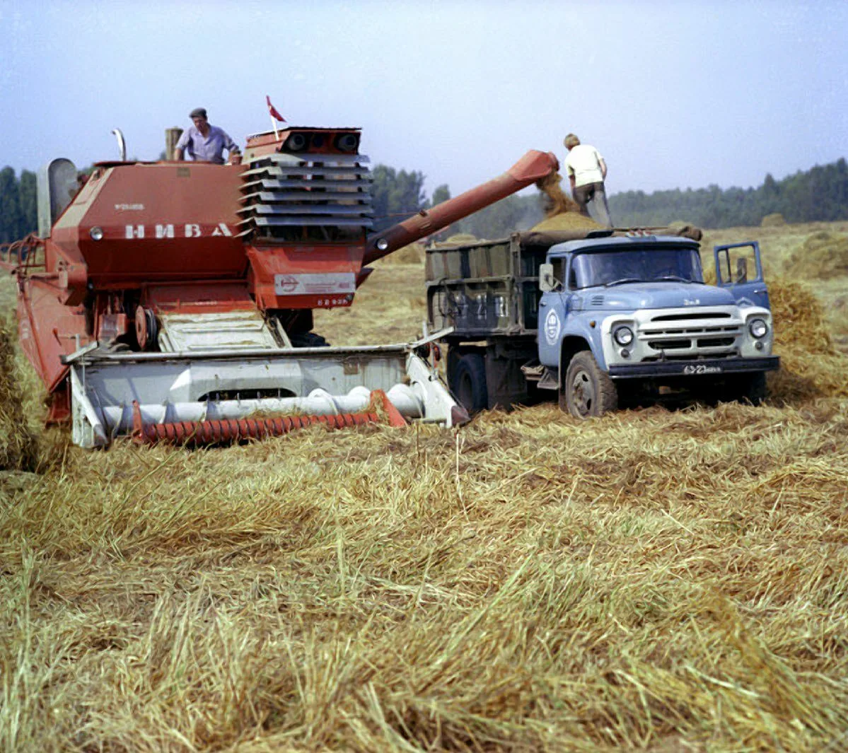 Картина, ставшая привычной, но все же на рубеже веков грозившая уйти в прошлое