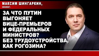 Максим Шингаркин, эколог: За что Путин выгоняет вице-премьеров и федеральных министров? Без трудоустройства, как Рогозина?